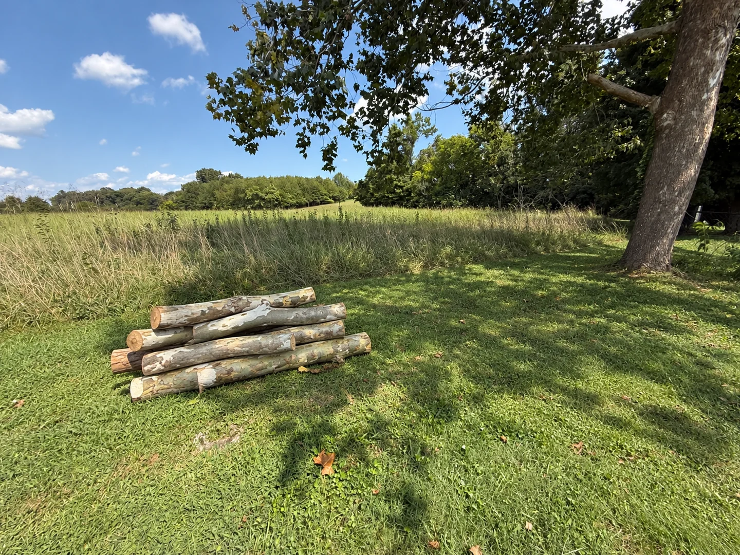 Edited design visualization based on the original property photograph, showing a natural stack of cut limbs with loose brush removed.